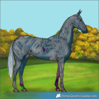 Horse Color:ERROR: UNKNOWN ANOMALY