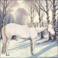 Horse Color:Perlino Roan 