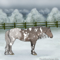 Horse Color:White Spotted Silver Black Mushroom 