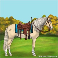 Horse Color:Palomino Roan Rabicano 
