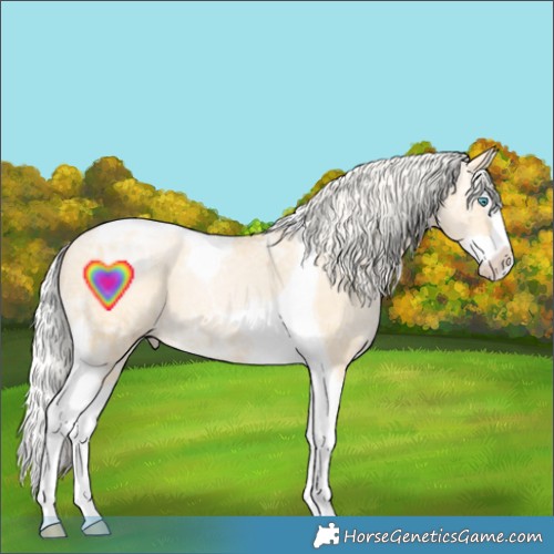 Horse Color:Silver Buckskin Ice Pearl Dun Splash Tobiano 
