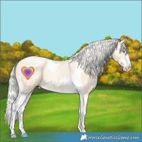 Horse Color:Silver Buckskin Ice Pearl Dun Splash Tobiano 