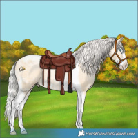 Horse Color:Silver Buckskin Ice Pearl Dun Splash Tobiano 