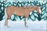 Horse Color:Silver Bay Roan Dun Splash 