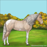 Horse Color:Silver Blue Roan Pearl Tobiano Frame 