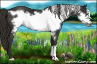 Horse Color:Liver Chestnut Frame 