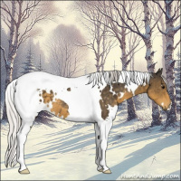 Horse Color:White Spotted Silver Smoky Black Tobiano 