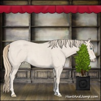 Horse Color:Smoky Creme Roan