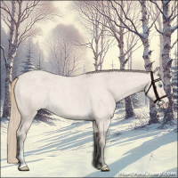 Horse Color:Smoky Creme Roan