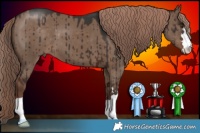 Horse Color:Liver Red Dun Brindle 