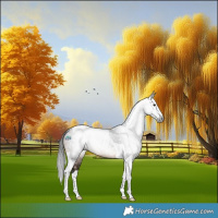 Horse Color:Gray Brown Splash Tobiano