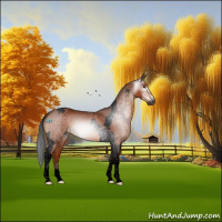 Horse Color:Gray Void Bay Tobiano 