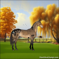 Horse Color:Void White Spotted Buckskin Dun Tobiano Appaloosa Rabicano 