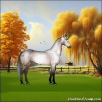 Horse Color:Gray Void Brown Tobiano Rabicano 