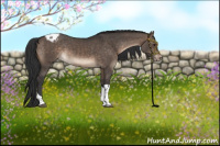 Horse Color:Brown Dun Tobiano Varnish Rabicano 