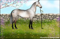 Horse Color:Gray Void Brown Dun Tobiano 