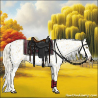 Horse Color:Palomino Leopard  and Palomino Near Leopard 