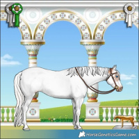 Horse Color:White Spotted Silver Brown Splash Tobiano Frame Rabicano 