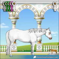 Horse Color:White Spotted Silver Brown Splash Tobiano Frame Rabicano 