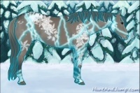 Horse Color:Thunderstruck Grullo Ice Appaloosa 