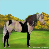 Horse Color:Void Nacre Silver Smoky Grullo Tobiano 