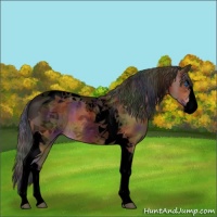 Horse Color:Void Nacre Brown Splash Tobiano