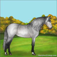 Horse Color:Gray Platinum Buckskin Roan 