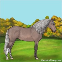 Horse Color:Platinum Silver Bay 