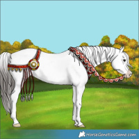 Horse Color:White Spotted Brown Ice Dun Sabino Appaloosa 