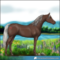 Horse Color:Silver Black