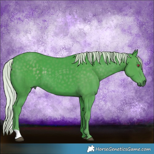 Horse Color:Watercolor Silver Black Chinchilla