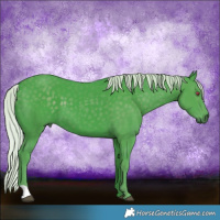 Horse Color:Watercolor Silver Black Chinchilla 