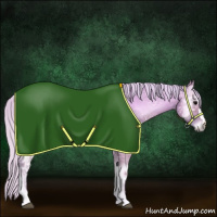 Horse Color:Watercolor Silver Blue Onyx Ice Roan Rabicano 