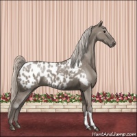 Horse Color:Silver Grullo Near Leopard