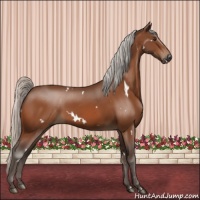 Horse Color:White Spotted Silver Brown