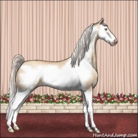 Horse Color:Silver Classic Champagne Roan Dun Splash Frame