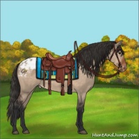 Horse Color:Brown Dun Sabino Blanket 