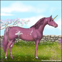 Horse Color:Watercolor White Spotted Chestnut 