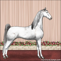 Horse Color:Brown Sabino Splash Appaloosa  and Brown Sabino Splash Appaloosa 