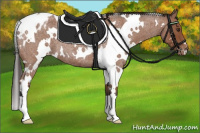 Horse Color:White Spotted Bay Roan Varnish 