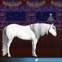 Horse Color:Liver Chestnut Sabino 