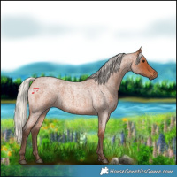 Horse Color:Silver Bay Roan 
