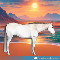Horse Color:White Spotted Bay Splash  and White Spotted Amber Champagne Splash 