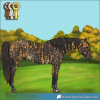 Horse Color:Buckskin Rabicano and Smoky Black