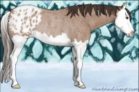 Horse Color:Bay Roan Splash Varnish Rabicano 