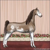 Horse Color:Liver Red Dun Splash  and Liver Red Dun Splash Frame 