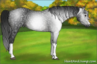 Horse Color:Gray Brown 