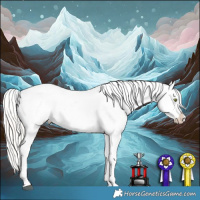 Horse Color:Silver Grullo Roan Near Leopard 