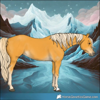 Horse Color:Palomino 