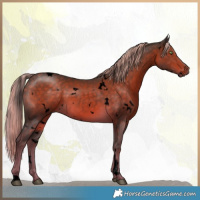Horse Color:Void White Spotted Chocolate Palomino Rabicano 
